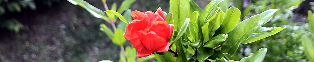 raum fuer atem yoga header sommer